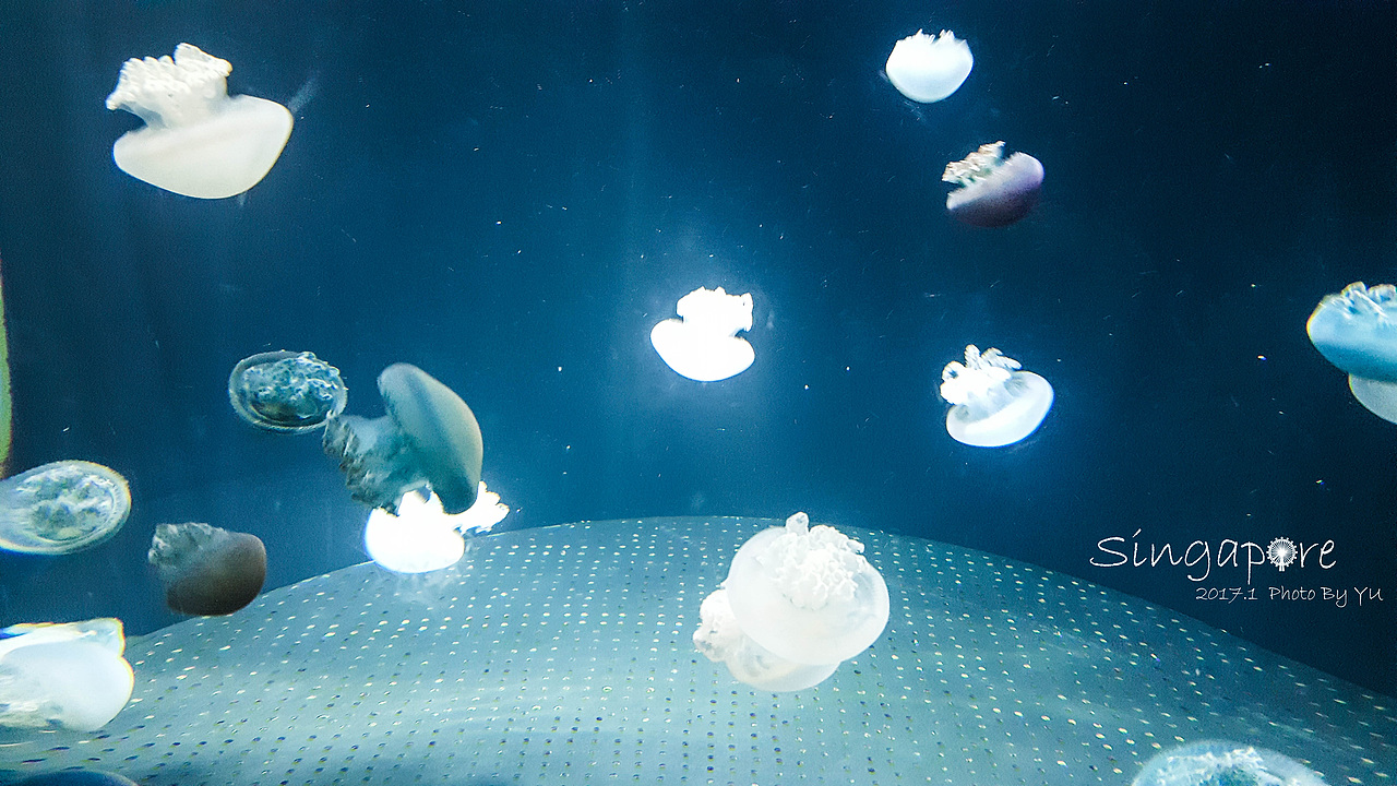 食.在新加坡（图ZMTAxOTM3OTYw） - 风光摄影 - 站酷设计师yu_qianqian原创素材 - 站酷ZCOOL