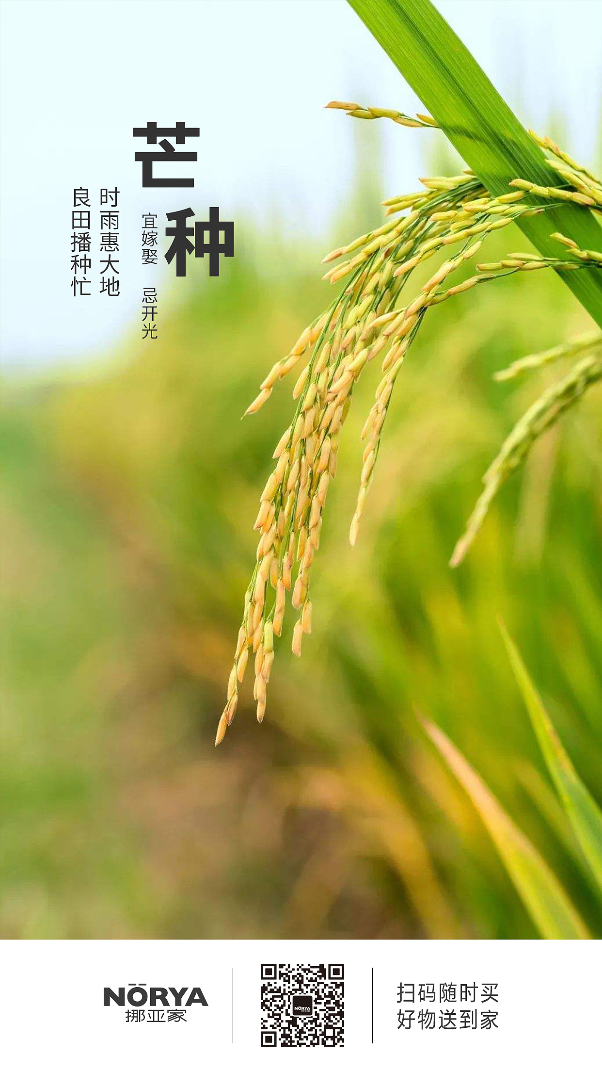 朋友圈宣传海报