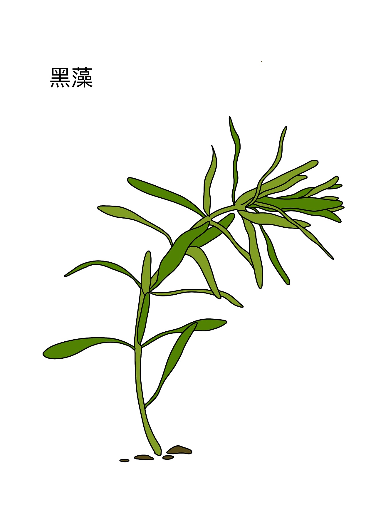 像一颗水草水草水草水草随波飘摇