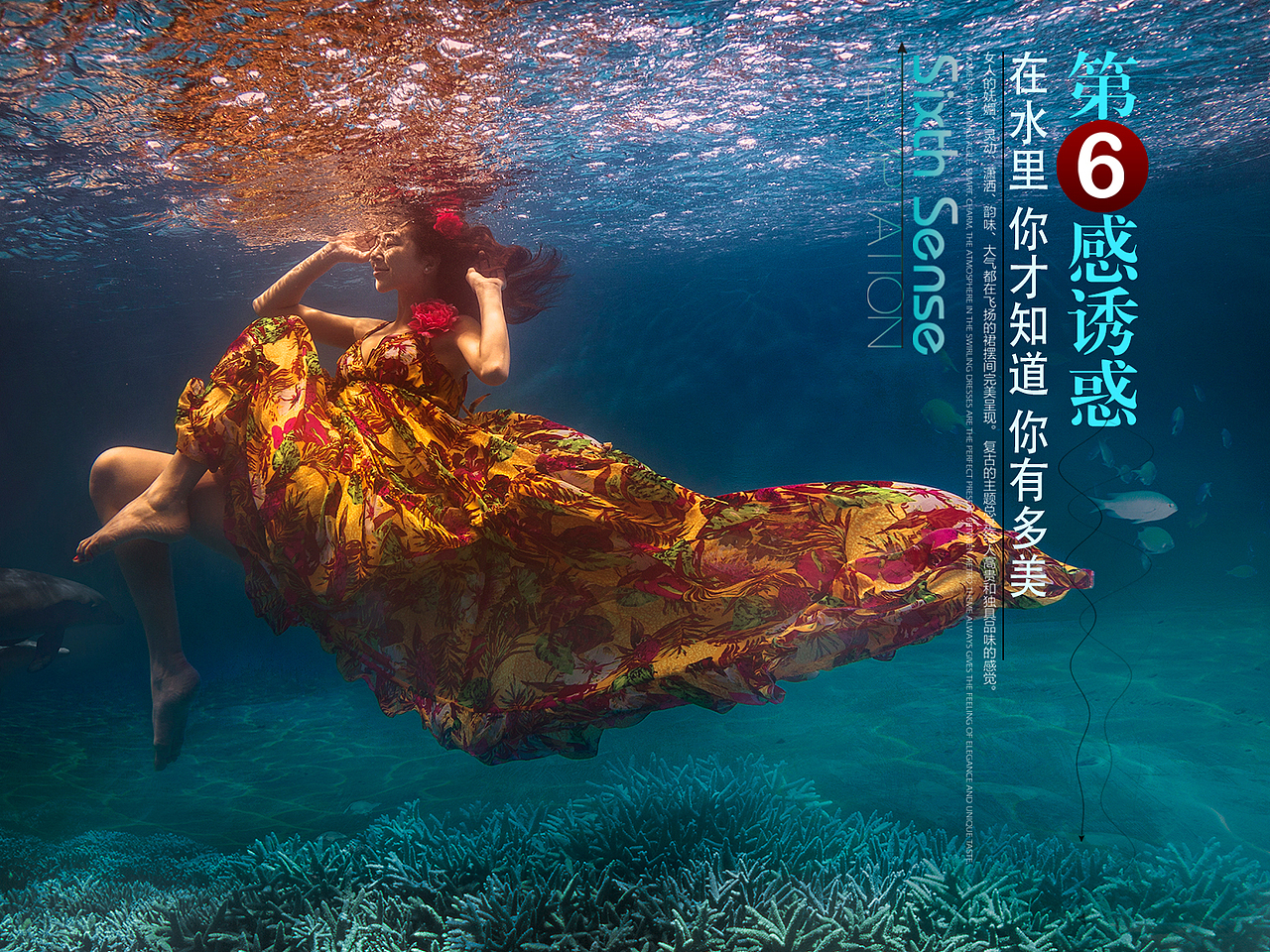 婚纱摄影banner设计