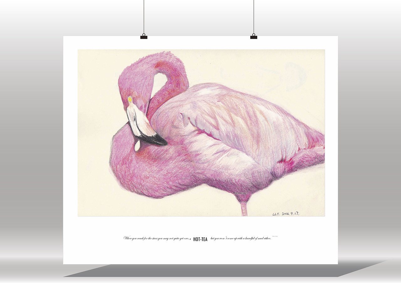 Flamingo（图ZMzgxODY5NjA=） - 创作习作 - 站酷设计师梁茶HOTTEA原创素材 - 站酷ZCOOL