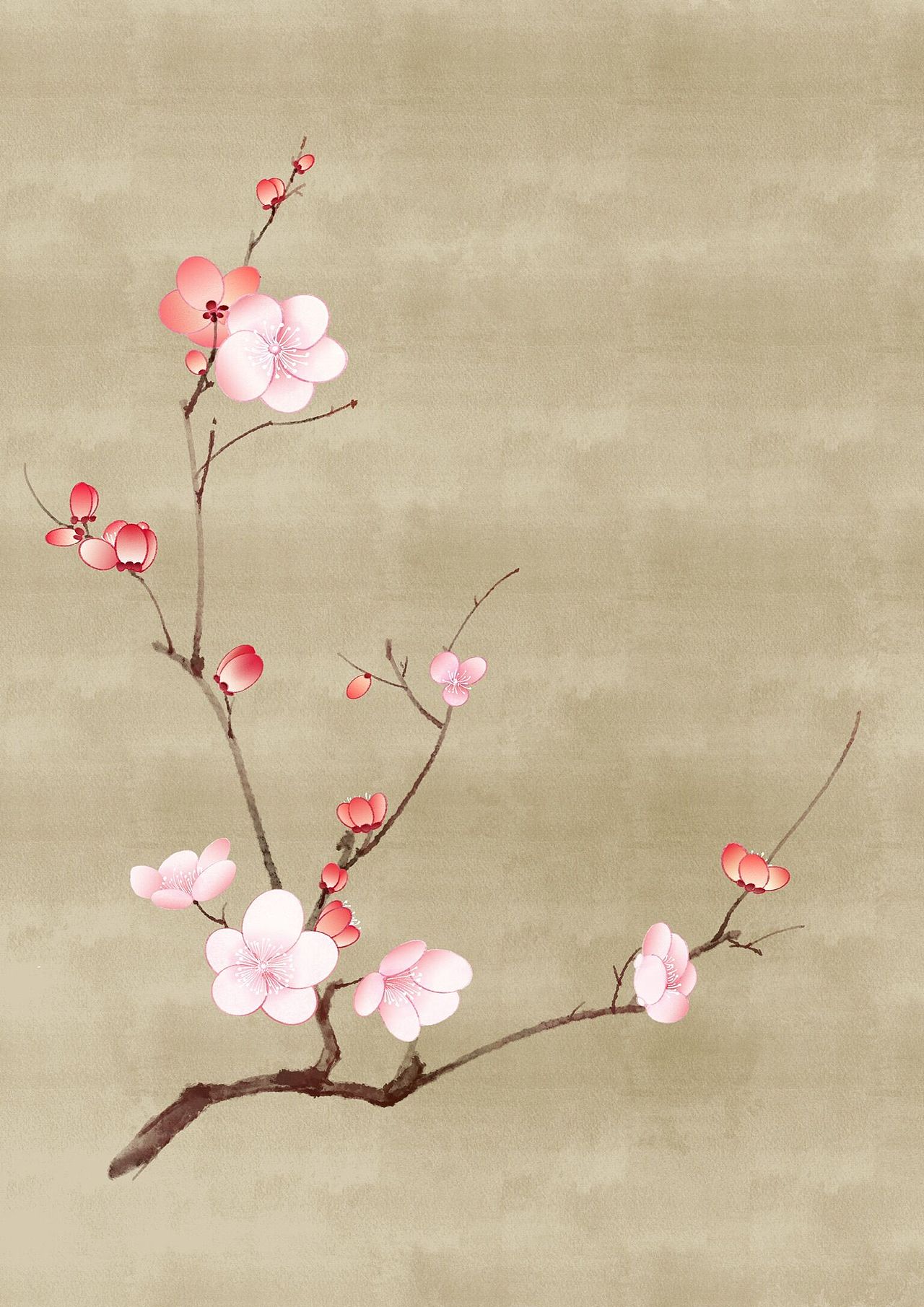 古风插画_逸语阁-站酷zcool