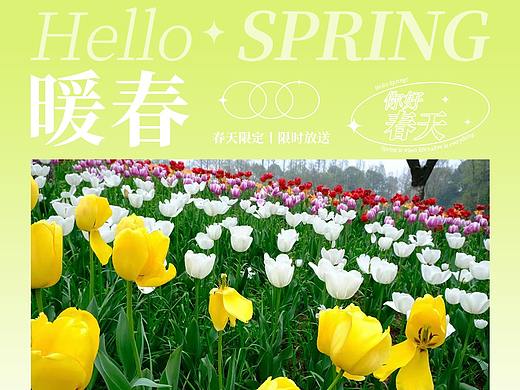 四月伊始 春光大好（个人主页-ZNTkwMjIxNzY=） - 海报 - 站酷设计师Z72059458原创素材 - 站酷ZCOOL