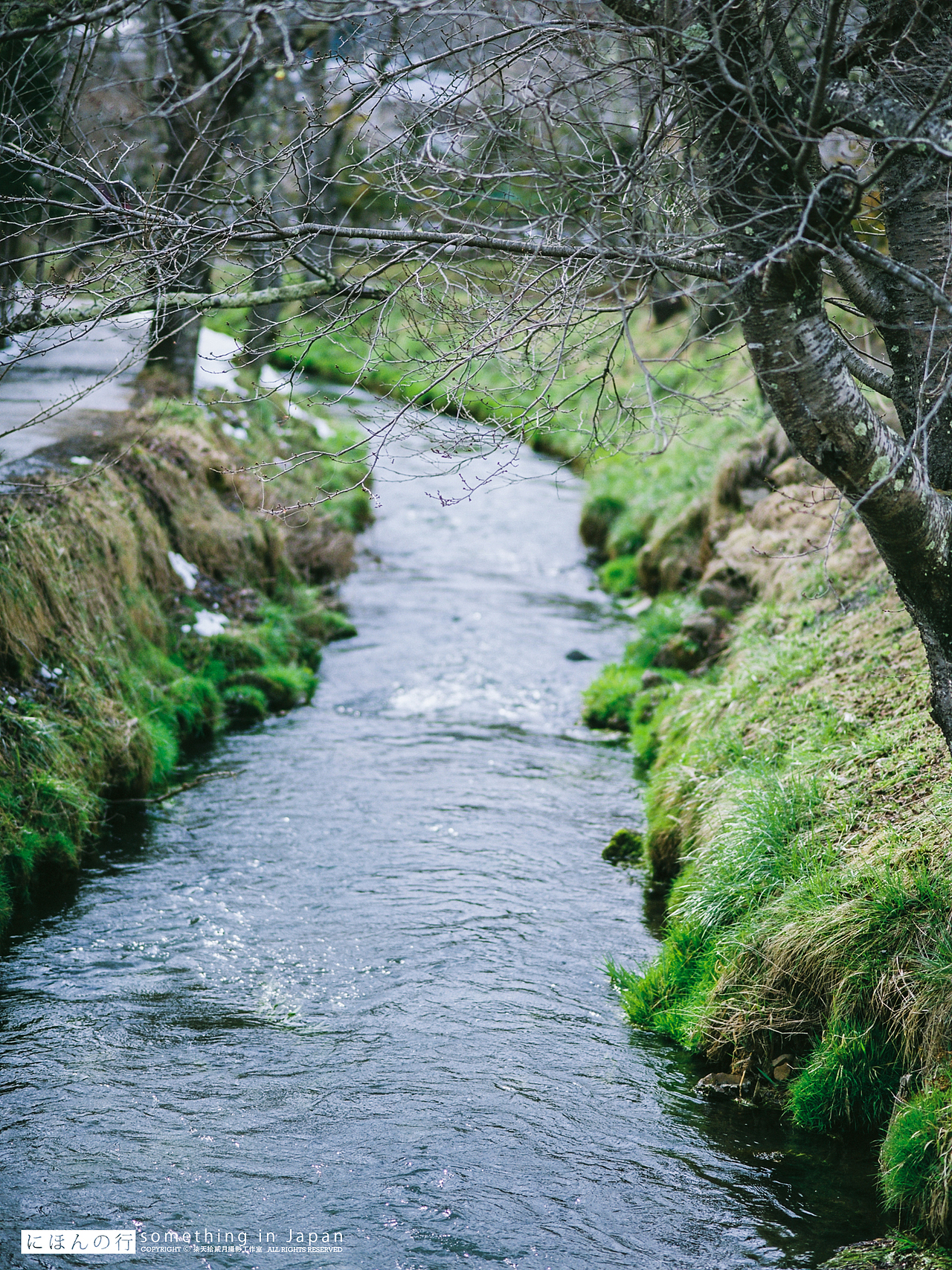 日本之行 day six（图ZNDY4NDI2NDQ=） - 人像摄影 - 站酷设计师monkeyivan原创素材 - 站酷ZCOOL