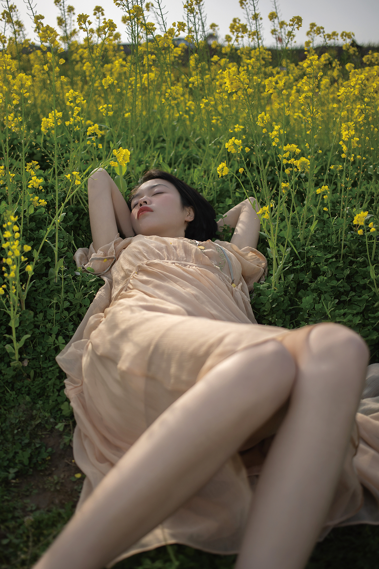 有些鸟儿是关不住的（图ZMjkxODA0MTA0） - 人像摄影 - 站酷设计师斯无鸡蛋原创素材 - 站酷ZCOOL