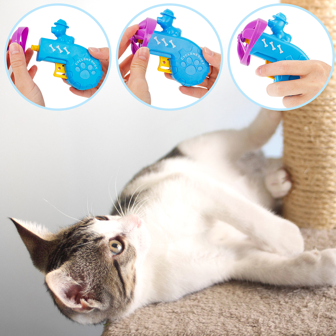 亚马逊主图--宠物玩具