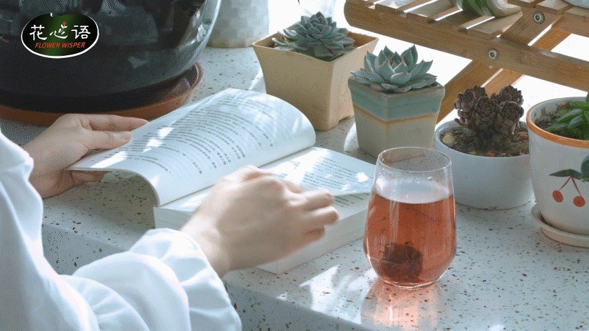 花心语丨更美的生活 更美的家庭园艺