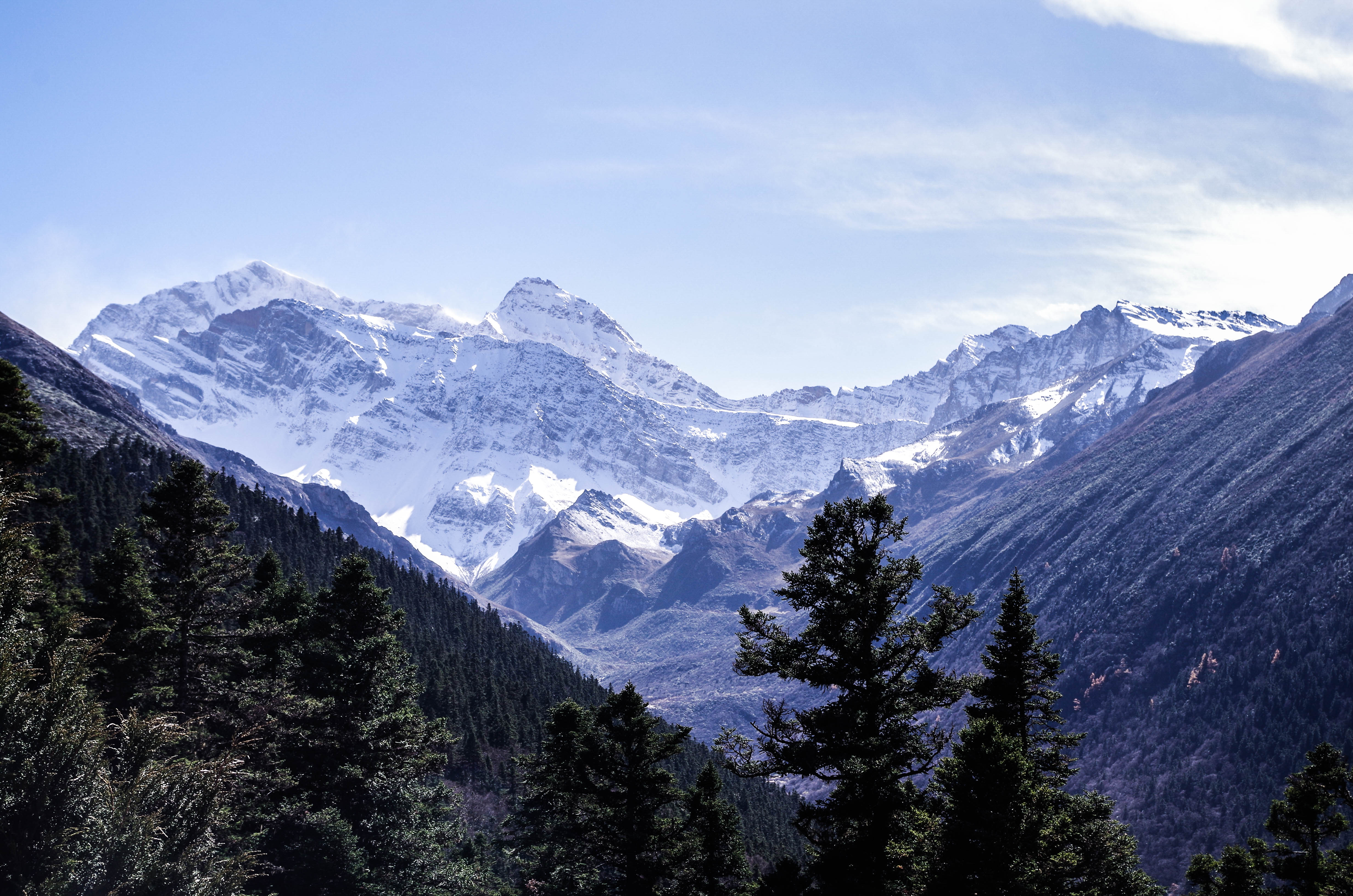 Hazerd的个人主页（封面预览） - 主页封面设置 - 站酷设计师Hazerd原创素材 - 站酷ZCOOL