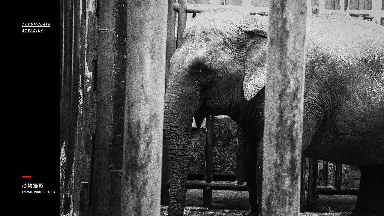 2018面试作品集整理（图ZMTIyMjg2MjMy） - 书籍/画册 - 站酷设计师不是扶桑原创素材 - 站酷ZCOOL