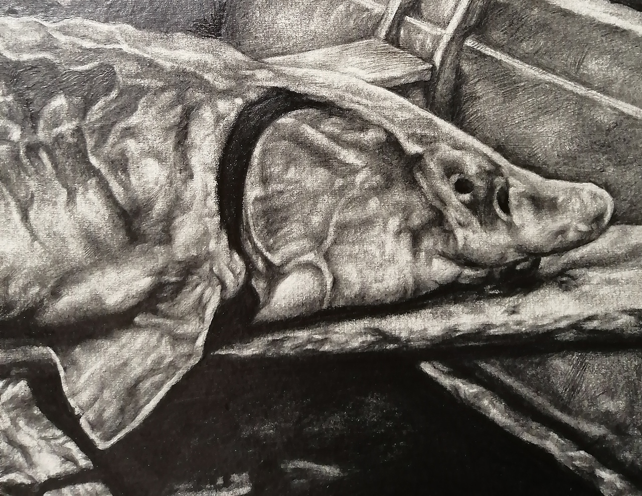 《我在等夕阳坠落》