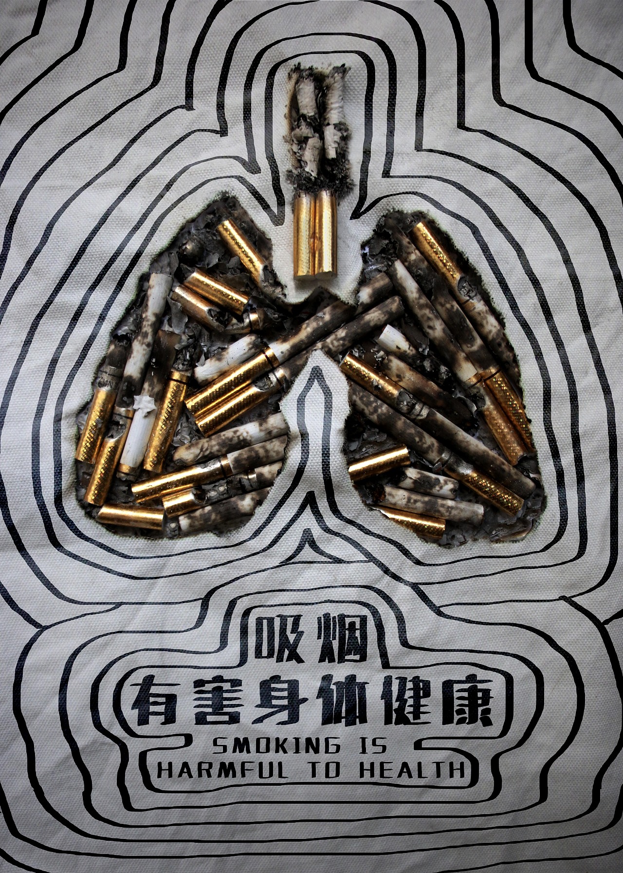 吸烟有害健康|平面|海报|shirunpeng - 原创作品 - 站酷 (zcool)