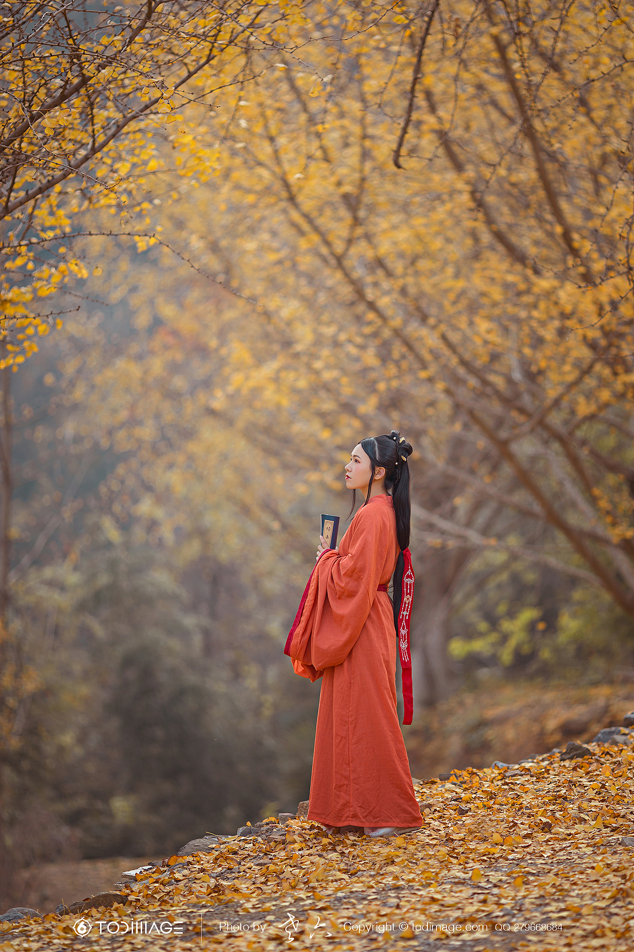 古风人像《清秋节》