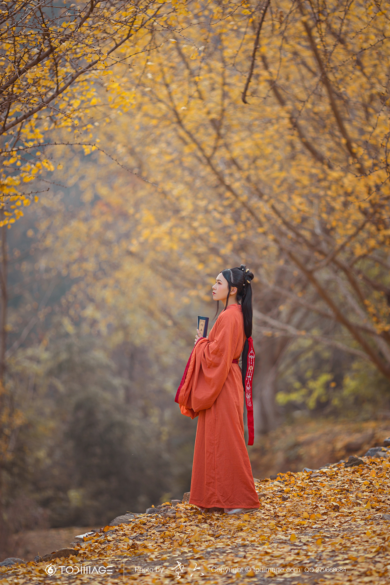 古风人像《清秋节》