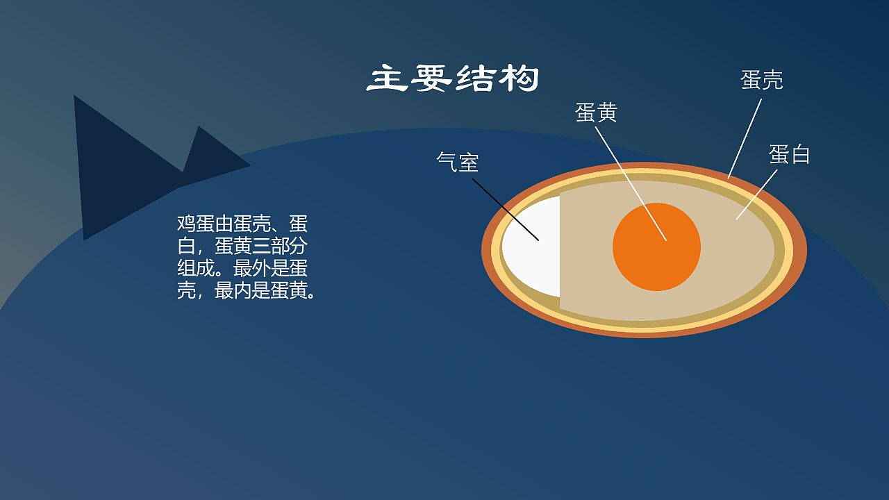 0举报1分享原创作品其他其他鸡蛋ppt饮食extracescornextracescorn