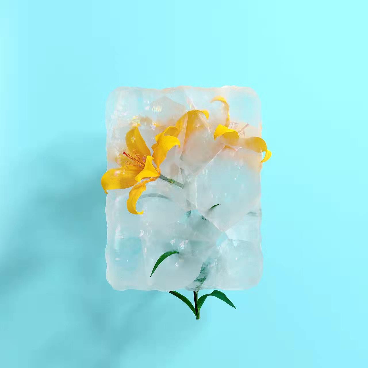 2021.十一月-81个成长记录打卡-GROWTH FACTOR（图ZMjc5OTg2MjMy） - 动画/影视 - 站酷设计师GYD_D原创素材 - 站酷ZCOOL