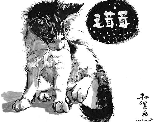 1958  毛茸茸