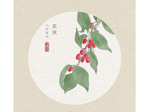 插画练习-植物/涂鸦