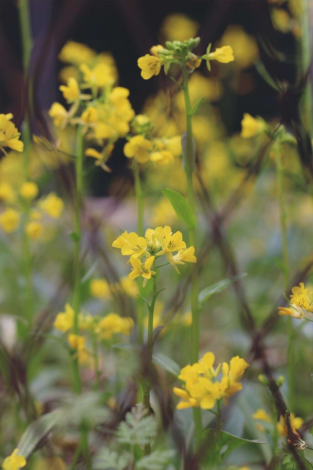 摄影（图ZMTk5NTQ0NDky） - 风光摄影 - 站酷设计师方尽一原创素材 - 站酷ZCOOL