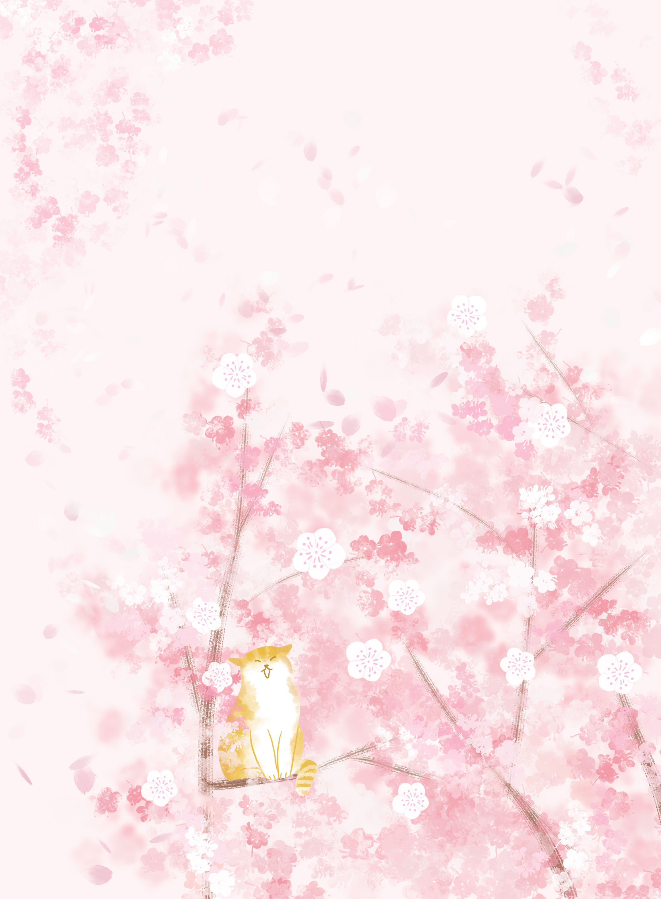 樱花猫|插画|插画习作|一颗傻豆子呀 - 原创作品 - 站酷 (zcool)