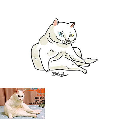 猫咪画像合集（图ZMTM2MDYzNTI4） - 创作习作 - 站酷设计师zhizhi吱吱原创素材 - 站酷ZCOOL