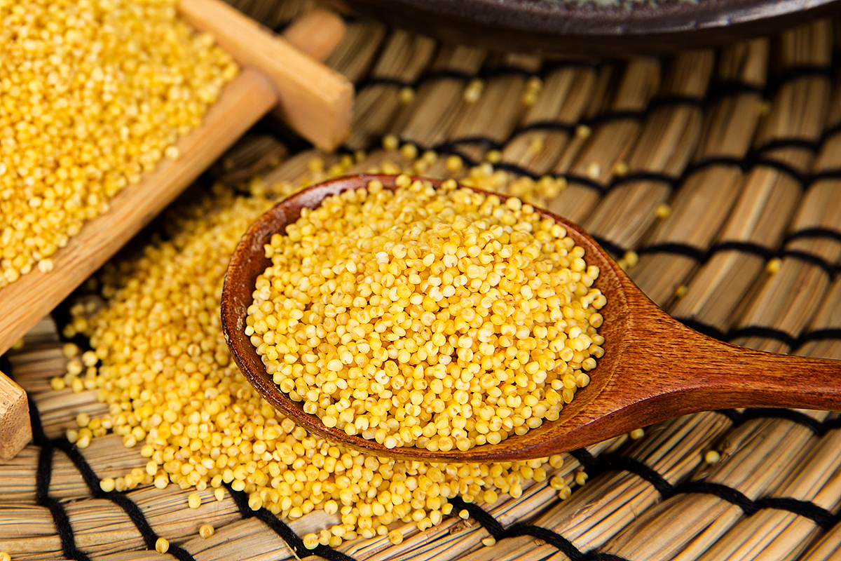 五谷杂粮拍摄|摄影|产品摄影|提米大叔_原创作品-站酷zcool