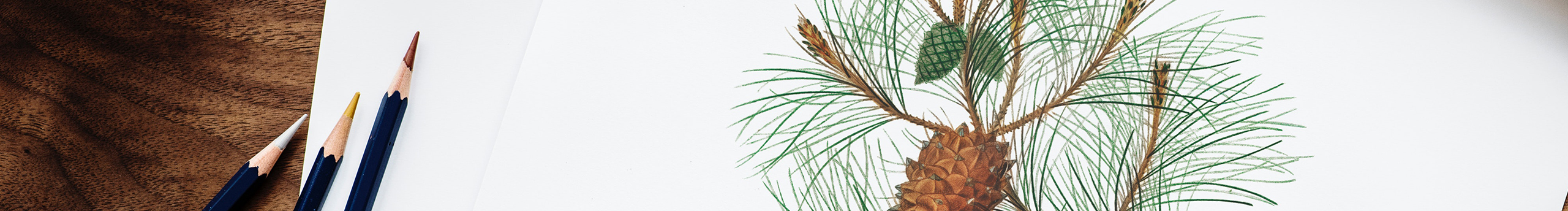 俏皮jun的个人主页（封面预览） - 主页封面设置 - 站酷设计师俏皮jun原创素材 - 站酷ZCOOL