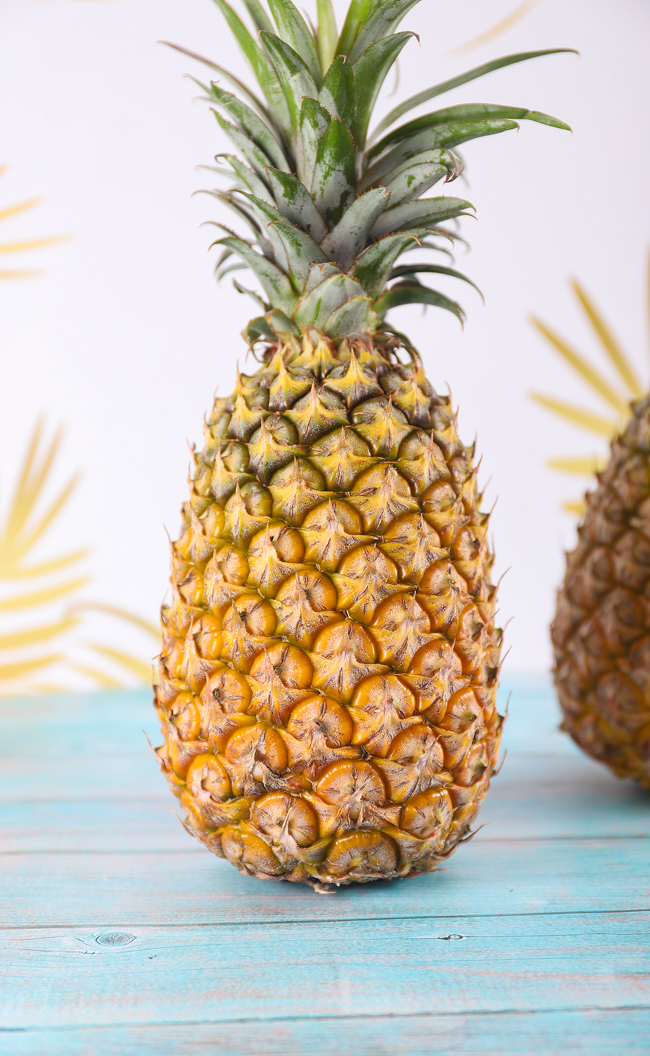 海南台农17号菠萝