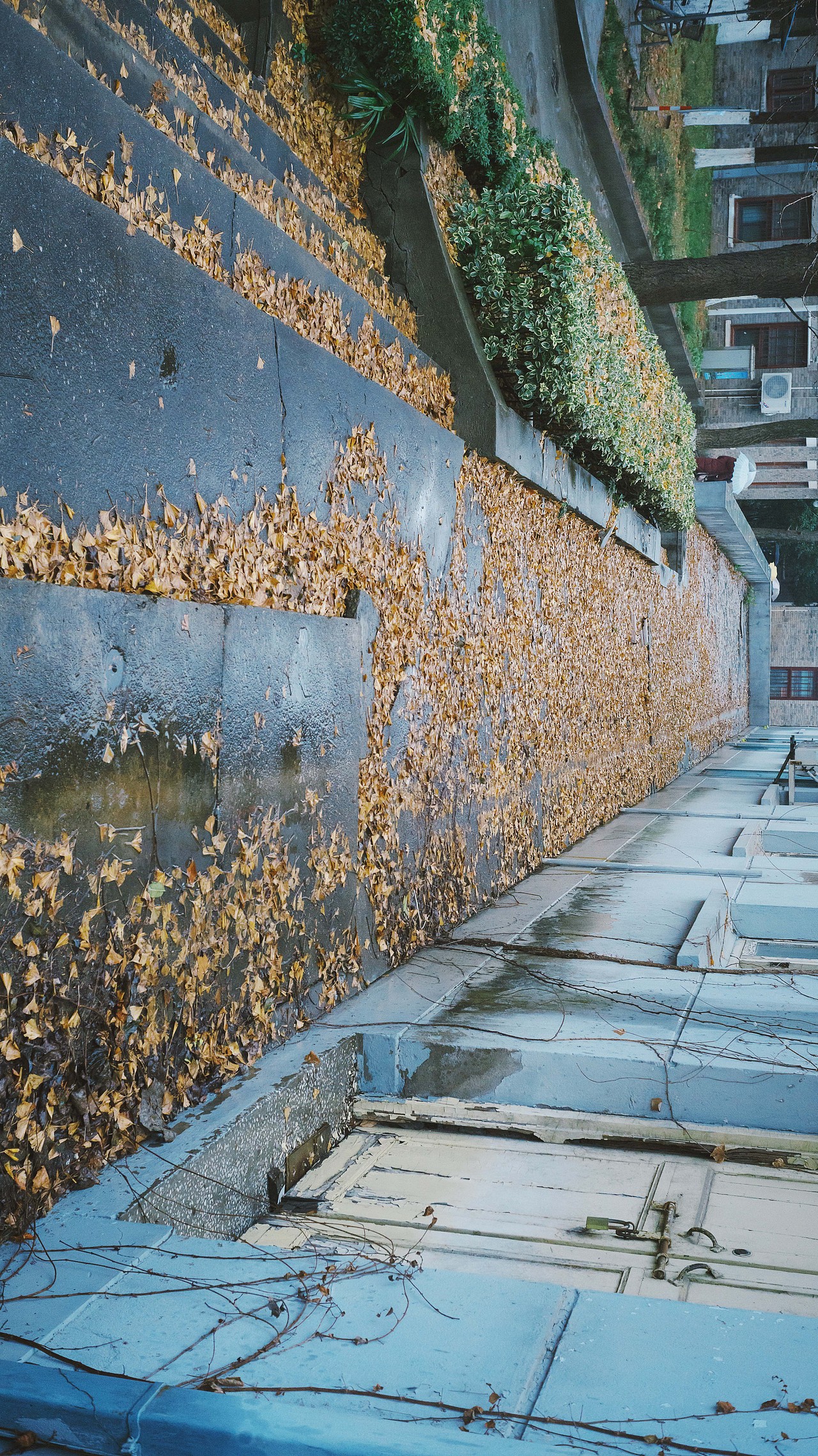 下雨了 等会下课 撑伞一起走好吗
