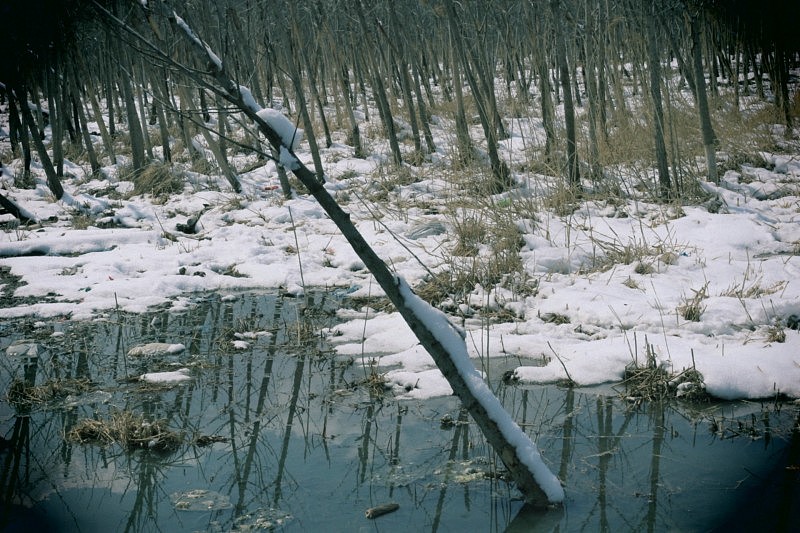 摄影—《留影系列》