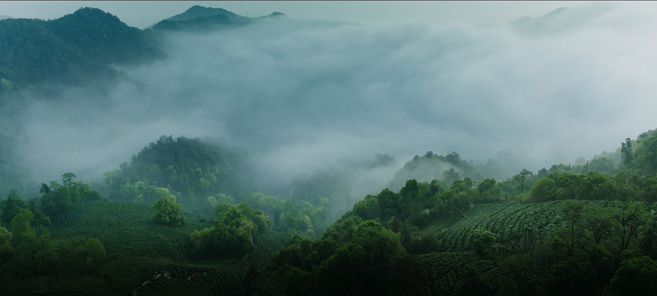 <br><br>弥漫山尖的水气云海,<br>仿佛置身仙境,<br>让人沉醉其中。