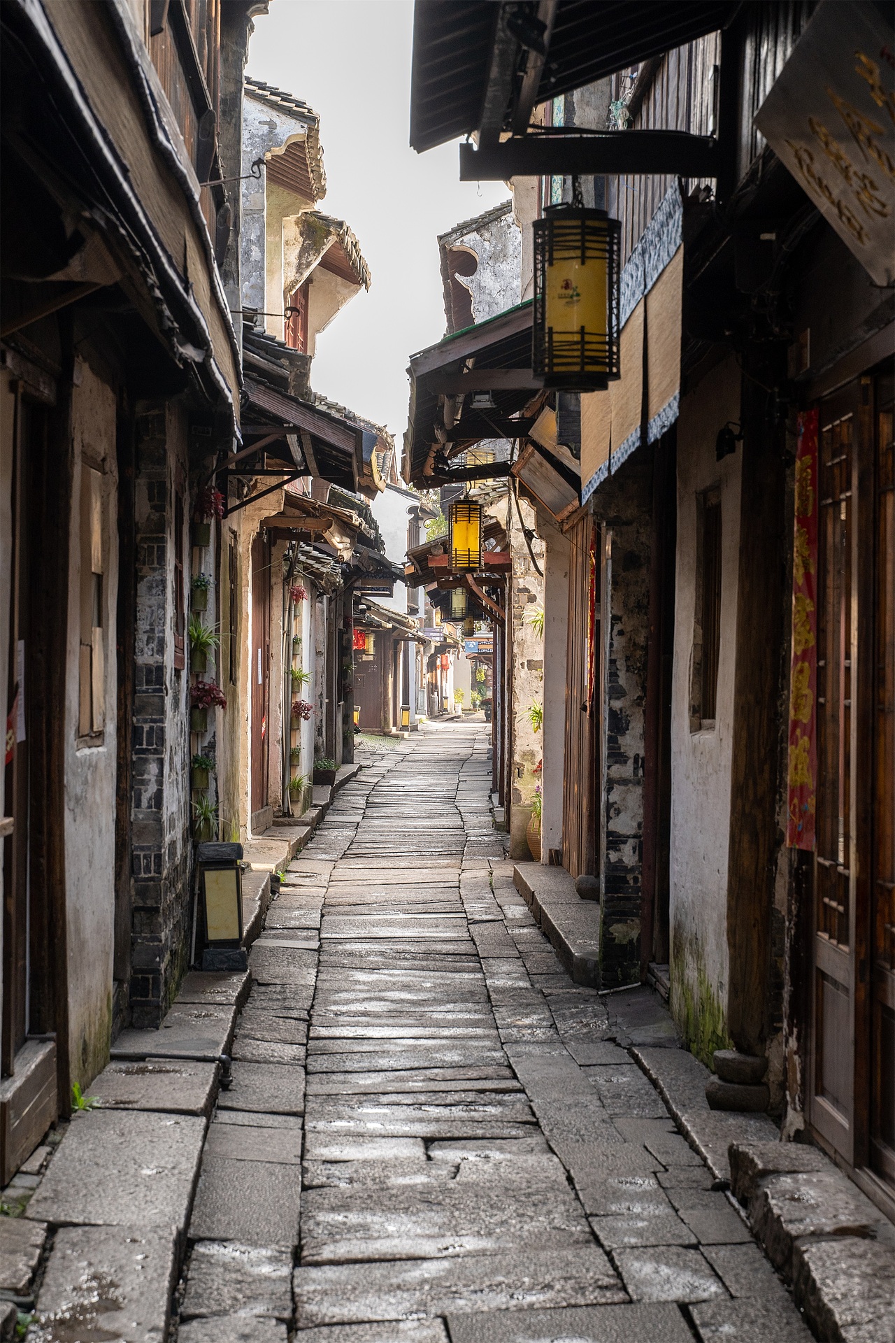 2020周庄古镇春色