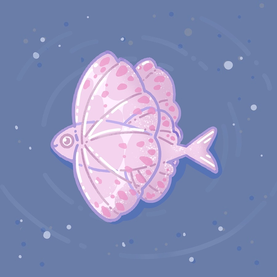 Cheya的赶海日记