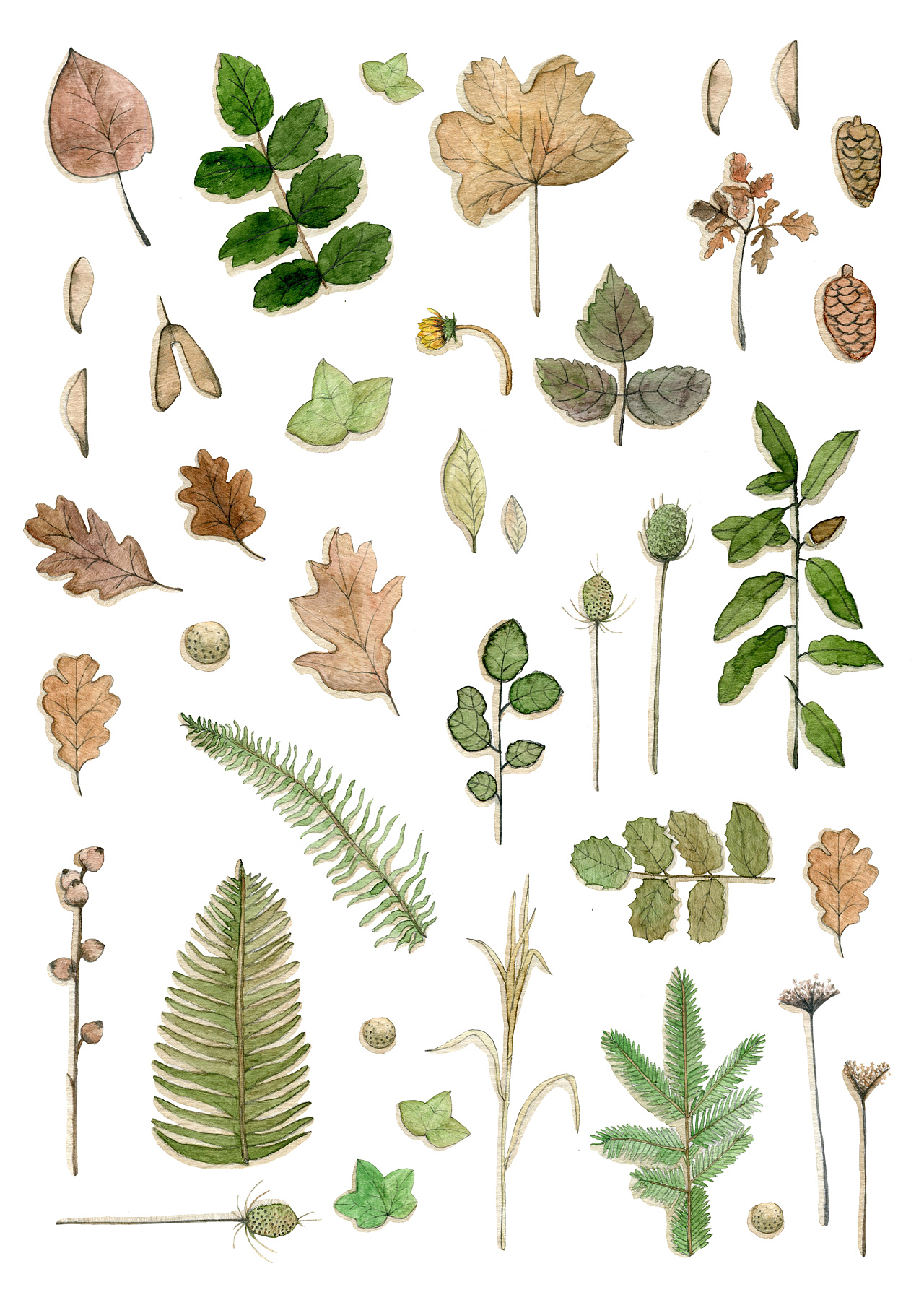 春华秋实-自然物