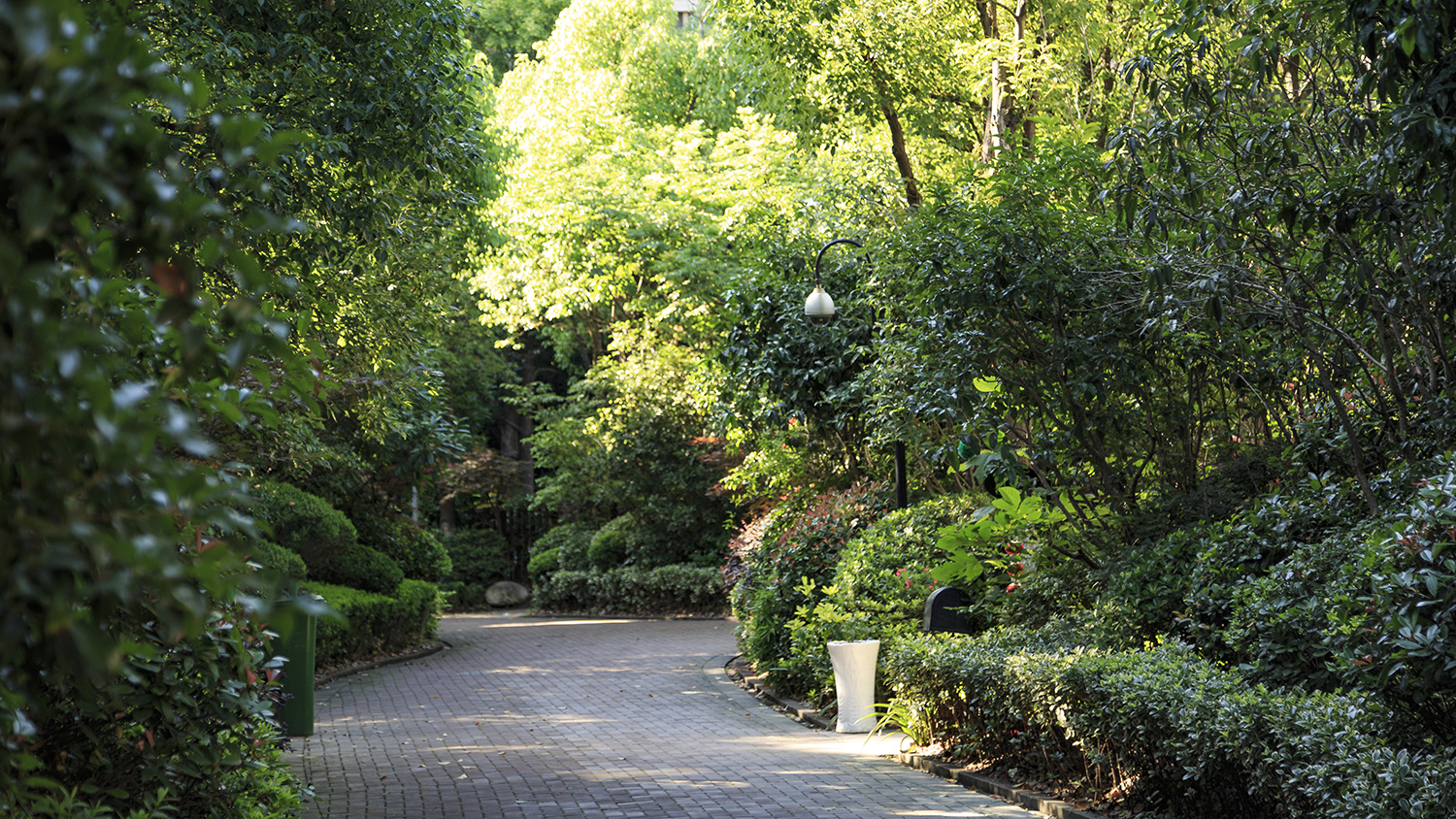 飞扬景观丨上海三湘黑森林