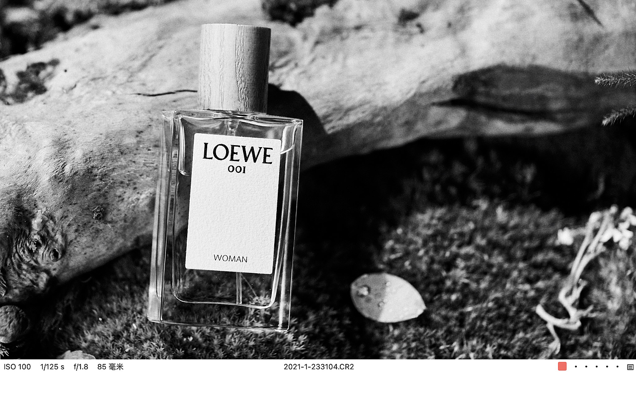 男士EDT淡香水事后清晨花木香 ✖LOEWE/罗意威