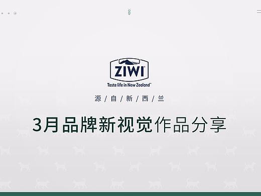 3月家装节/品类日宠粮首页分享