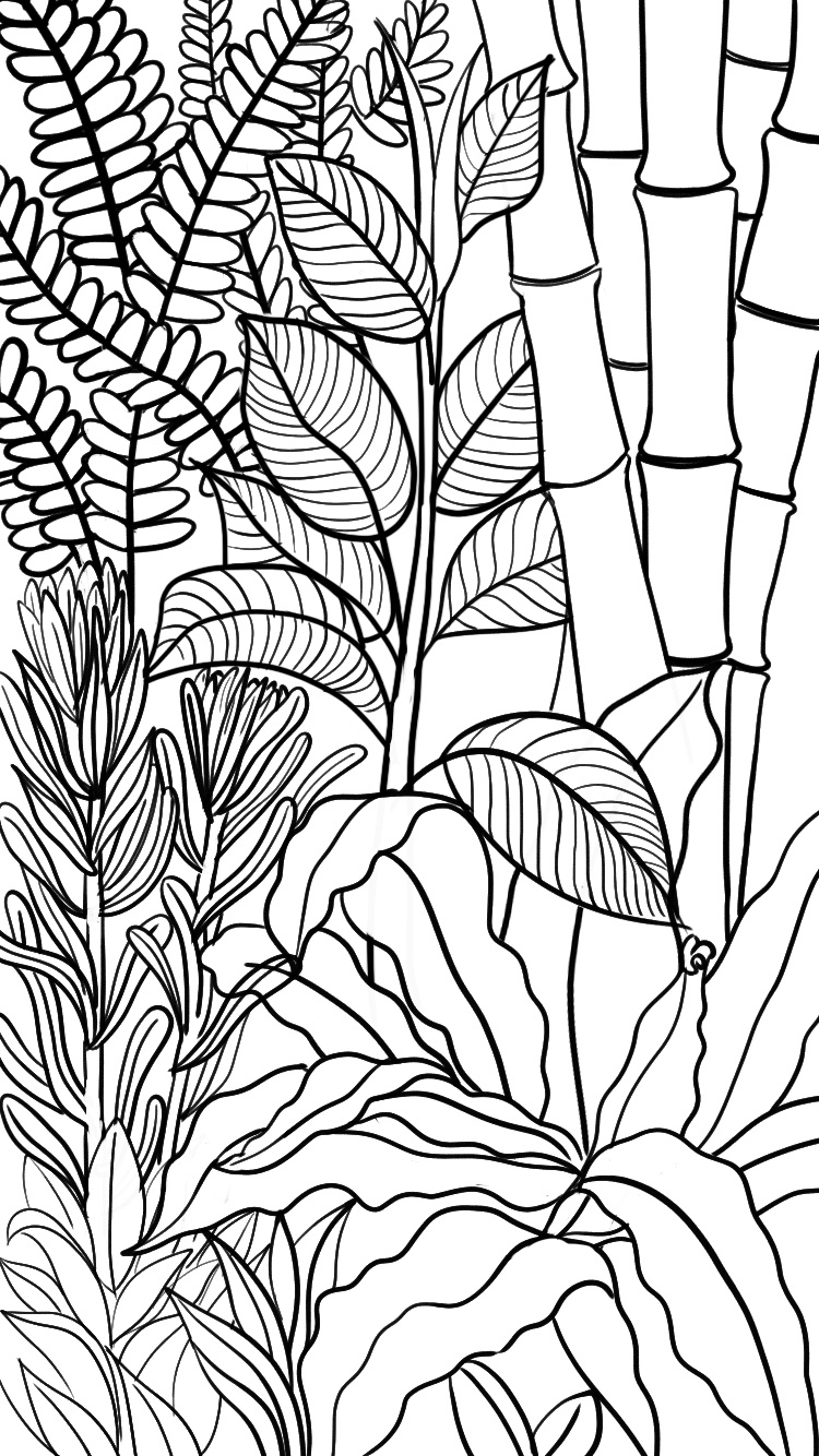 手绘线条练习|插画|创作习作|贝小粒哟 - 临摹作品 - 站酷 (zcool)