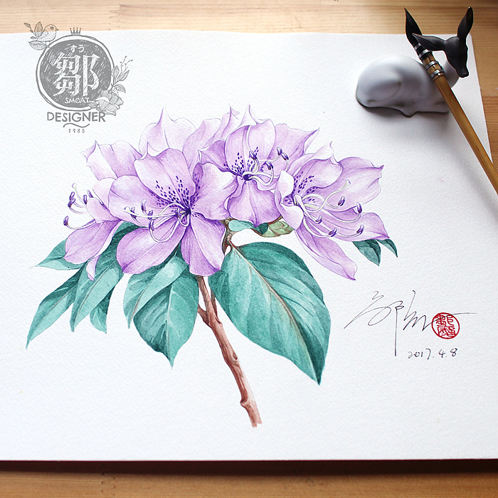 杜鹃花系列——马银花（图ZNzc5OTI5Njg=） - 商业插画 - 站酷设计师鄒慶原创素材 - 站酷ZCOOL
