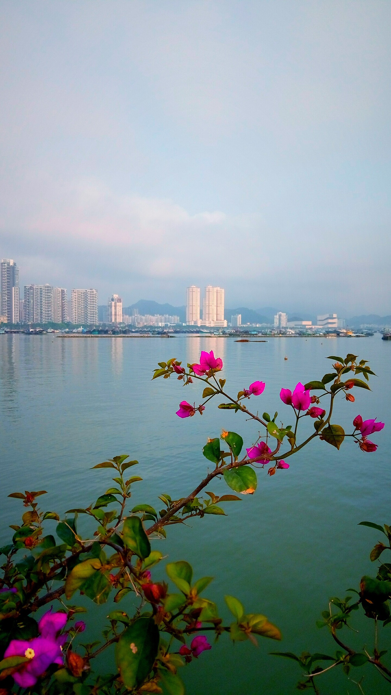 中国-珠海-野狸岛