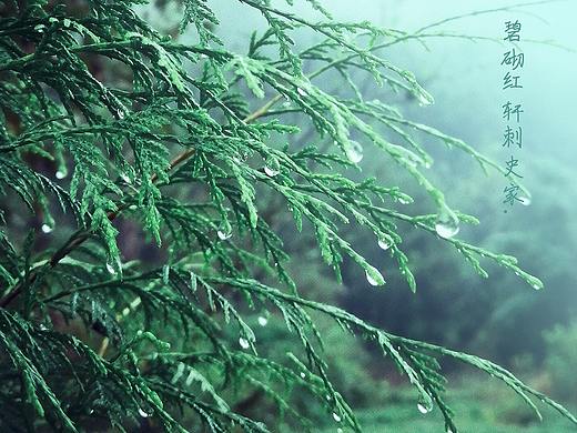 攝影（個(gè)人主頁-ZNTE3ODkzNDg=） - 修圖/后期 - 站酷設(shè)計(jì)師陸貳叁原創(chuàng)素材 - 站酷ZCOOL