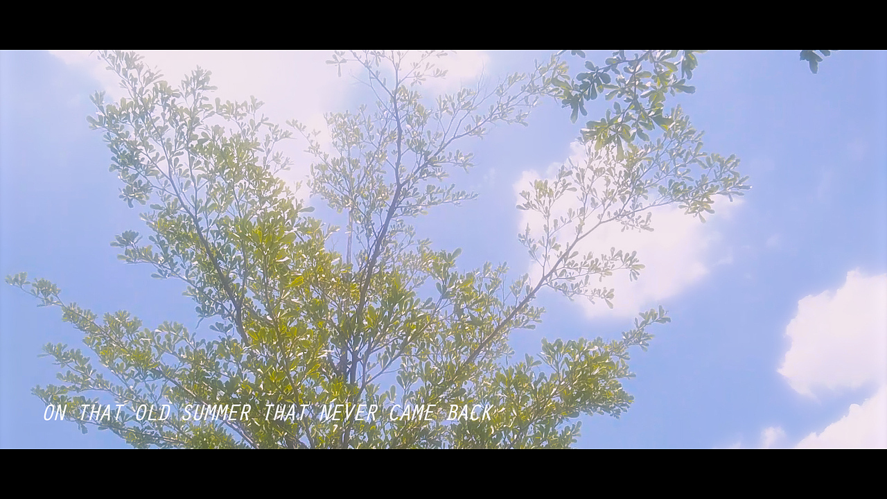 看看我千元机拍的垃圾视频,不懂拍摄,后期全靠“吼”