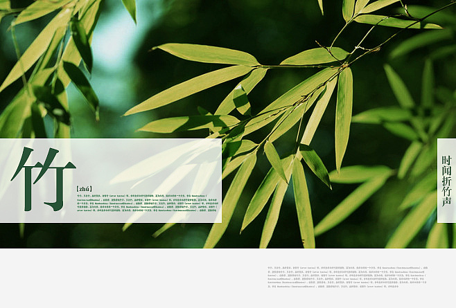 竹子简单排版