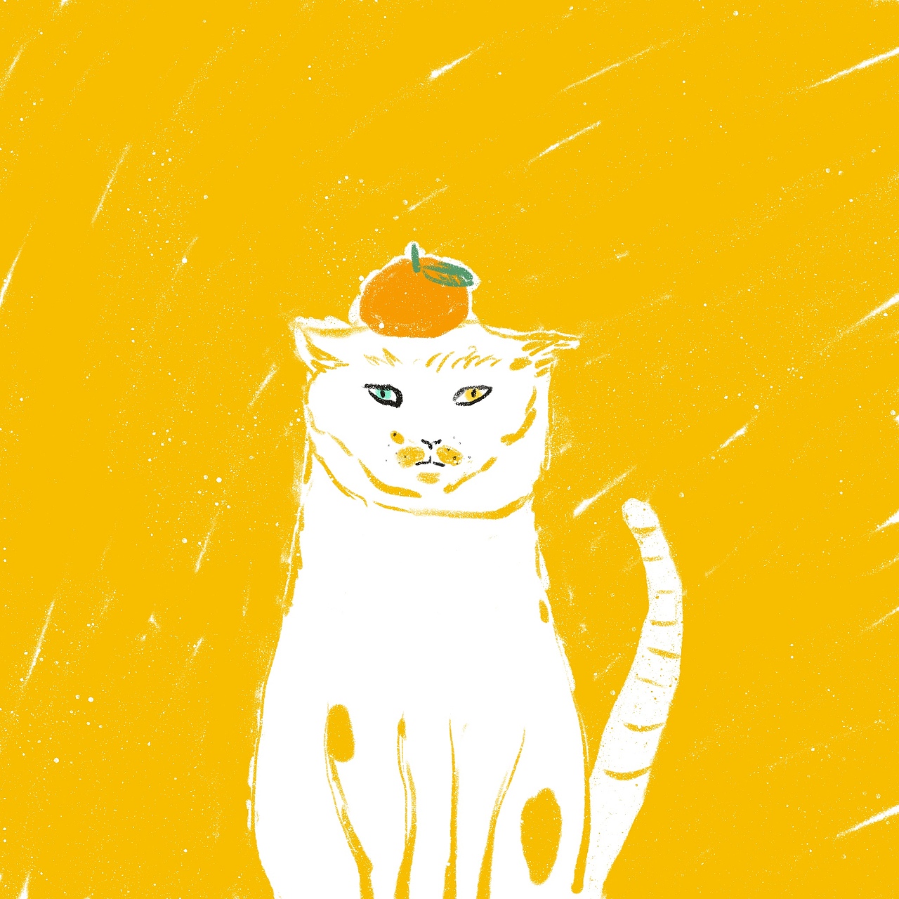 猫咪速涂插画20P