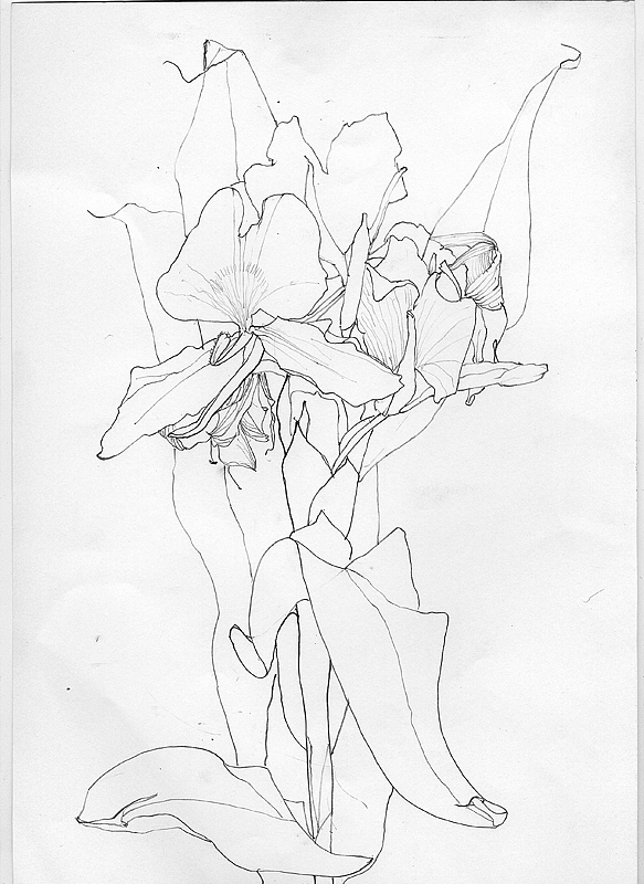 手绘（图ZOTI3Nzc0NjA=） - 其他 - 站酷设计师yuyuqi原创素材 - 站酷ZCOOL