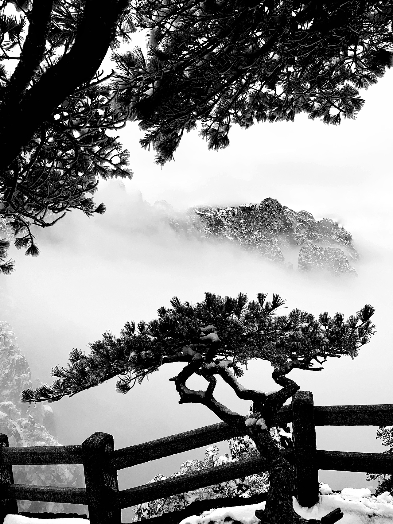 黄山-排云亭