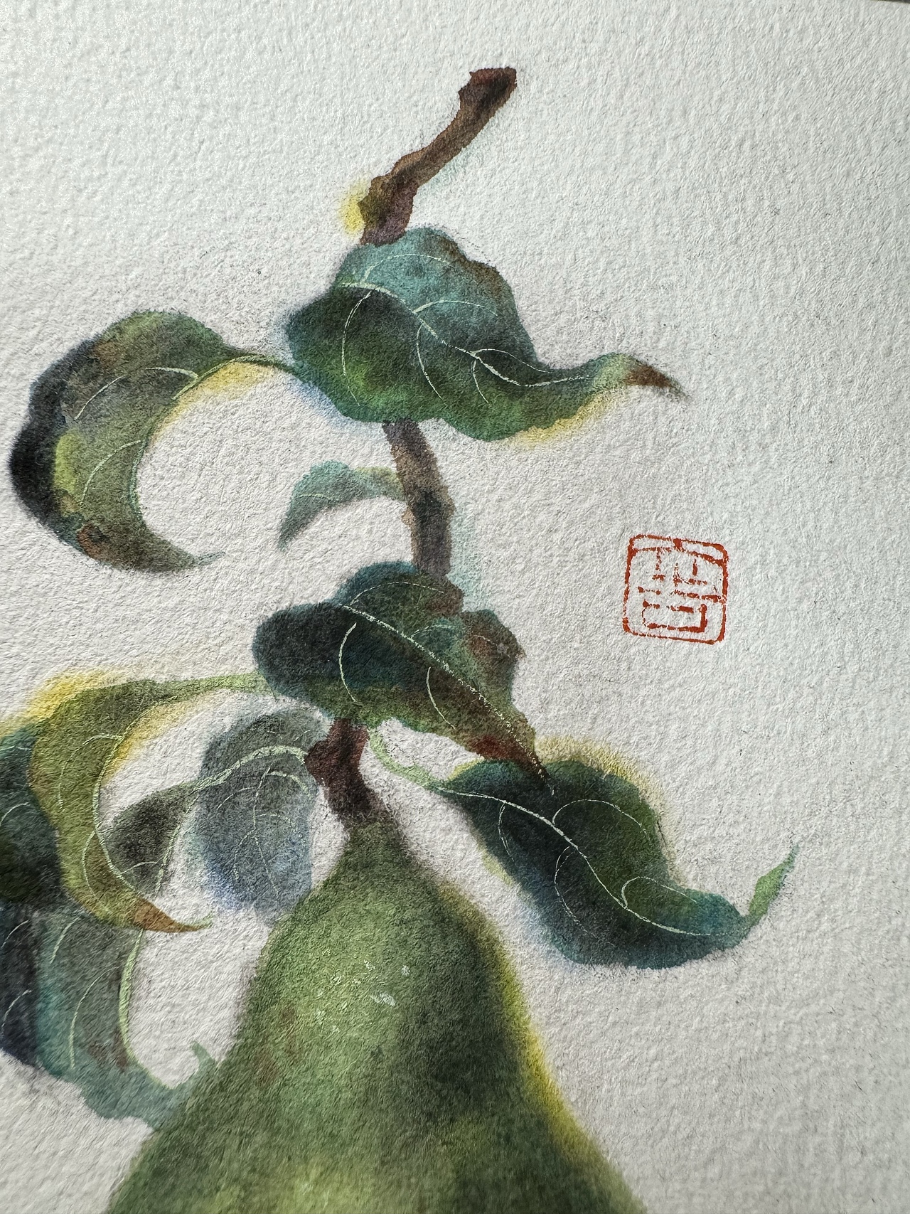 我用西洋画材描绘中式的梨