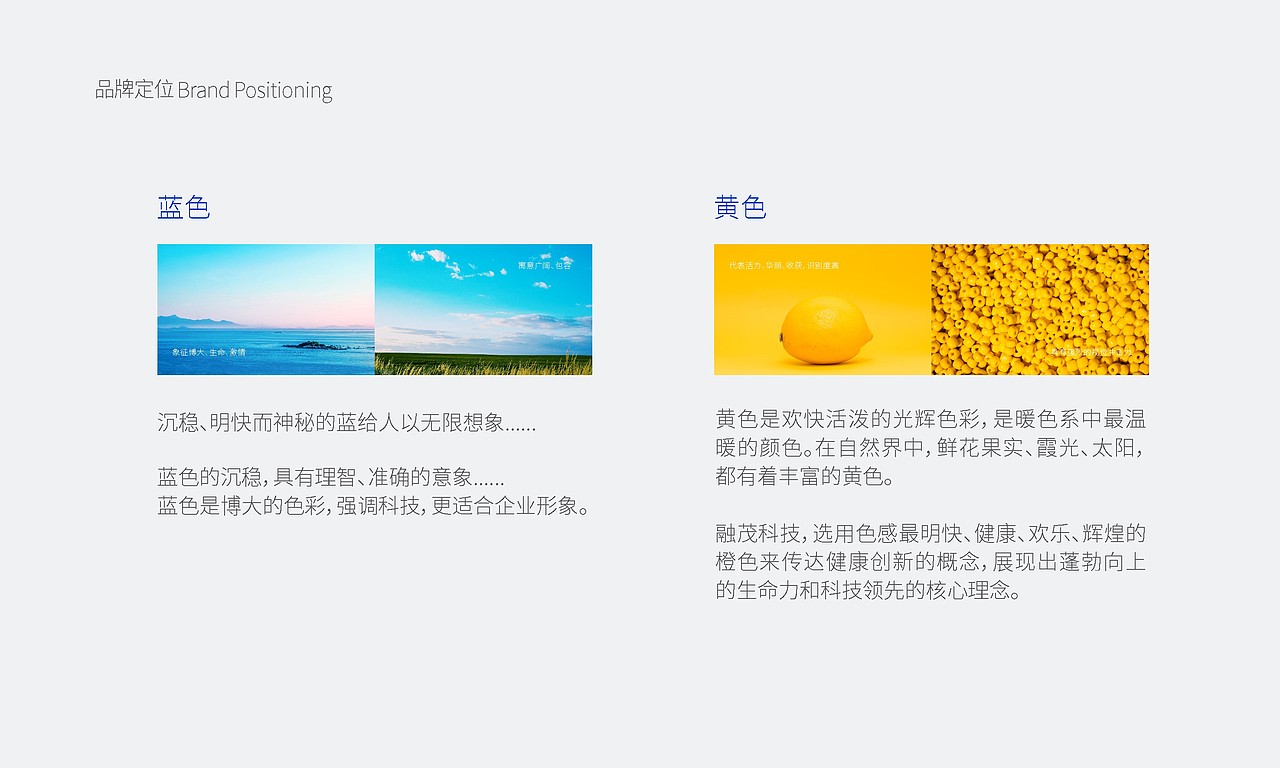 融茂品牌VI设计