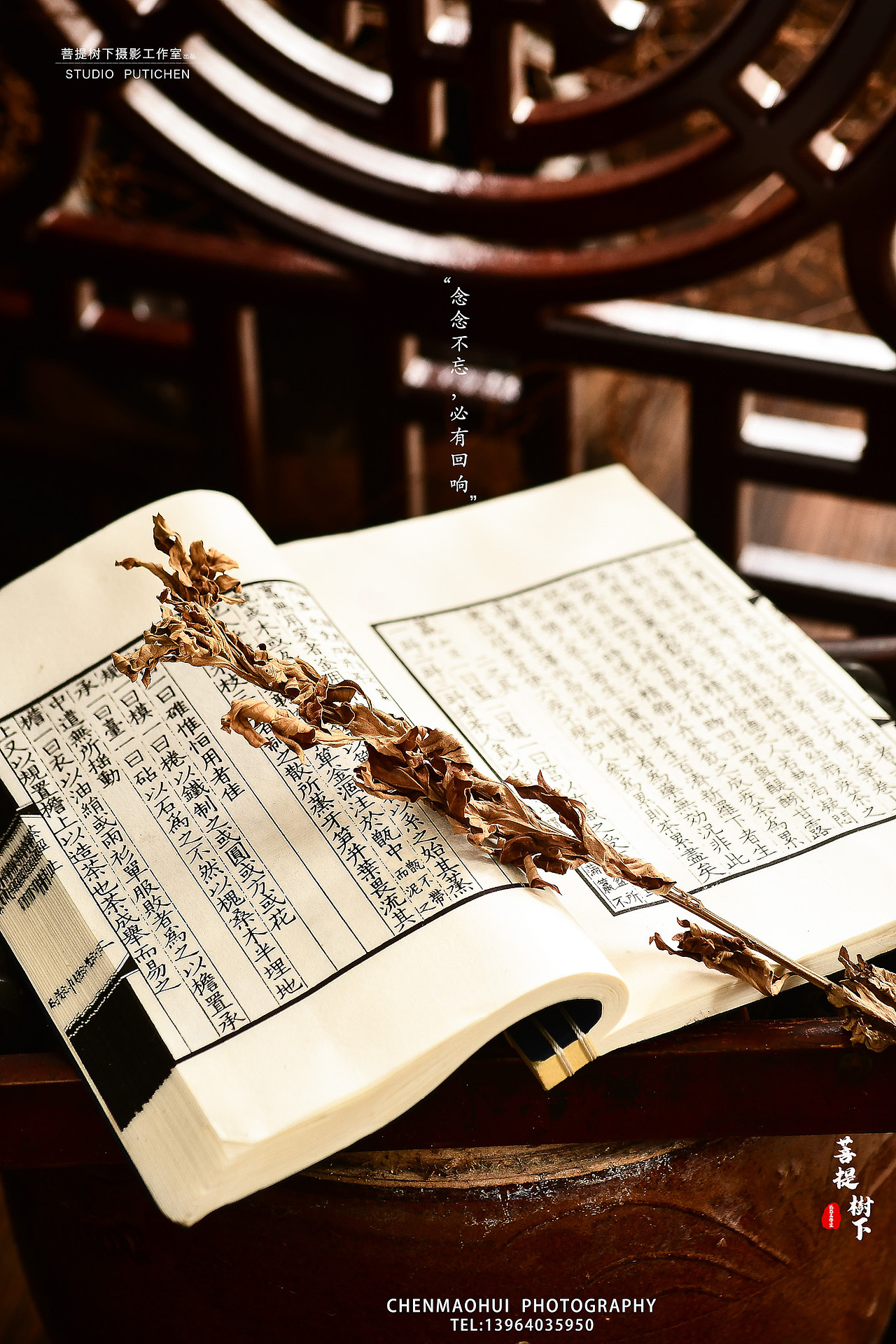 艾叶与艾叶饼（图ZMjE2MTE4MDg0） - 产品摄影 - 站酷设计师摄影师陈茂辉原创素材 - 站酷ZCOOL