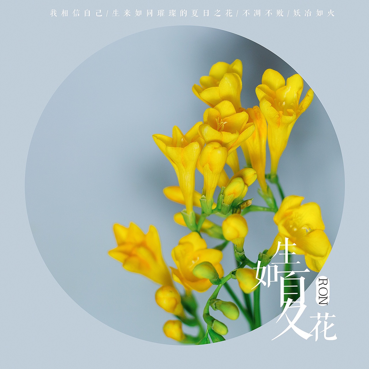 香雪兰（图ZNzIyOTczMTY=） - 产品摄影 - 站酷设计师榮羽生RON原创素材 - 站酷ZCOOL