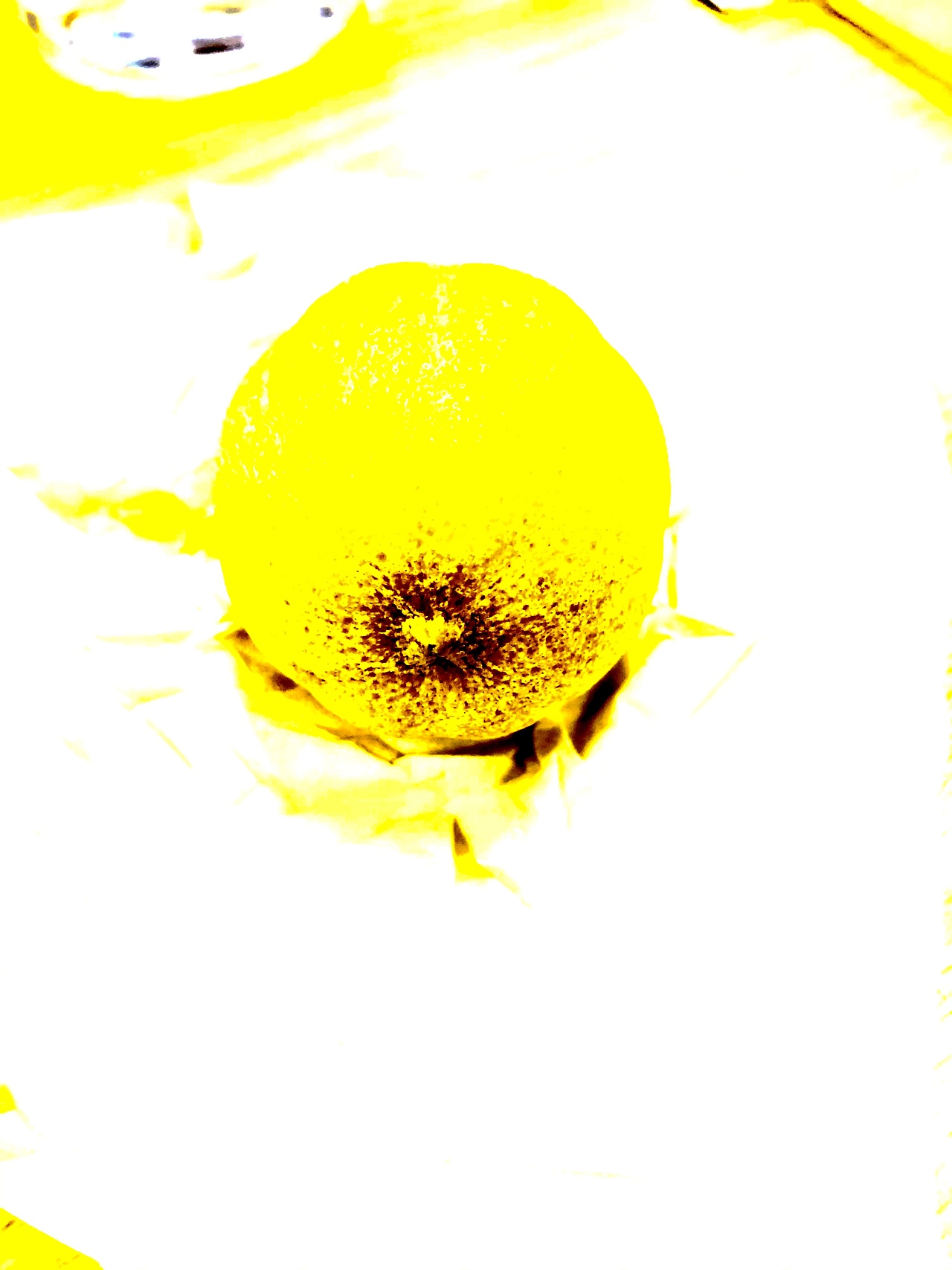 风干柠檬-强暴光